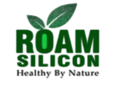Roam Silicon BV